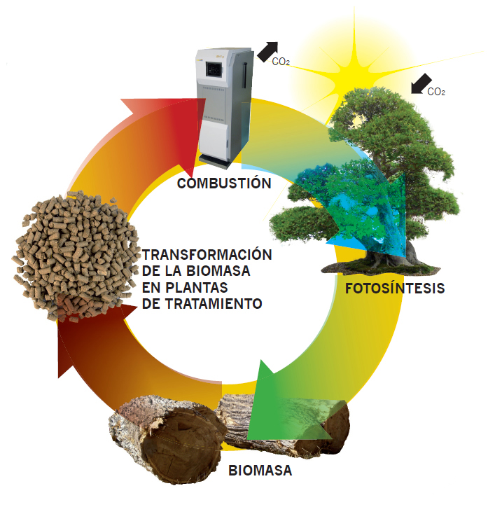 ciclo biomasa neutro co2 balence