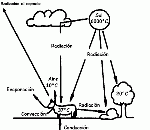 radiacion conveccion evaporacion