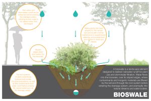 bioswale agua escorrentia erosion sostenible